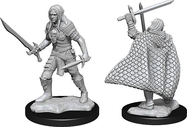 Elf Male Fighter (W13)