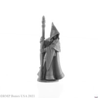 Anirion, Elf Wizard