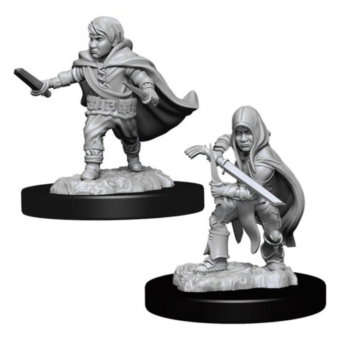 Halfling Male Rogue (W13)