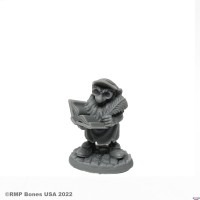 Stub, Gnome Accountant