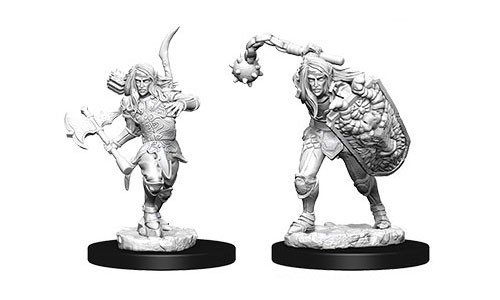 Elf Male Fighter Clearance