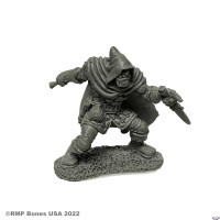 Rogan, Half-orc thief