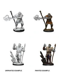 Nolzur's Marvelous Miniatures Wave 11 - Firbolg Male Druid