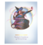 Rules Expansion Gift Set- Alt-Cover