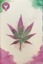 Divinica #4 Dawn McTeigue PEARL Variant D LTD To 20