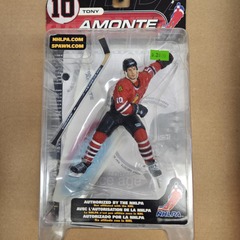 Tony Amonte Chicago Blackhawks nhlpa series 2