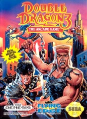 Double Dragon 3: The Arcade Game