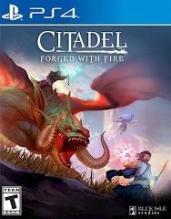 Citadel: Forged with Fire