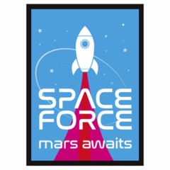 Legion Sleeves: Space Force MAT095