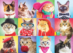 Silly Cats - 300 pc puzzle