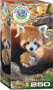 Red Pandas - 250pc puzzle