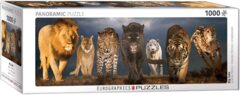 Big Cats - Panoramic 1000 pc puzzle