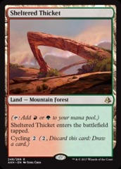Sheltered Thicket - Foil Foreign