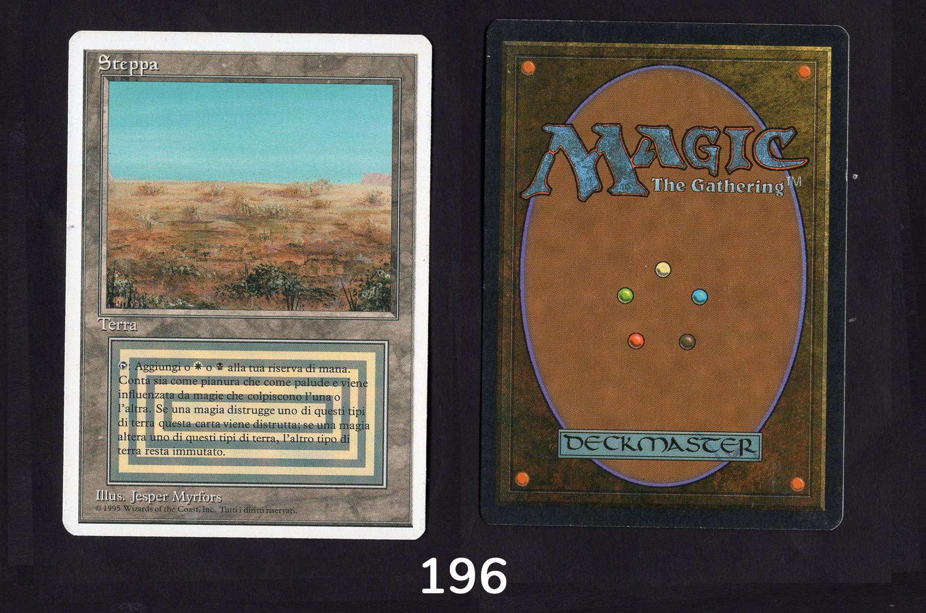 Scrubland - #196