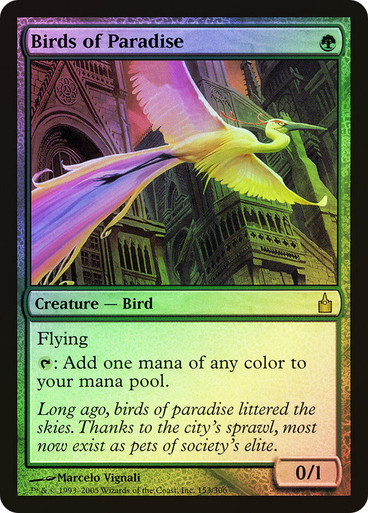 Birds of Paradise - Foil