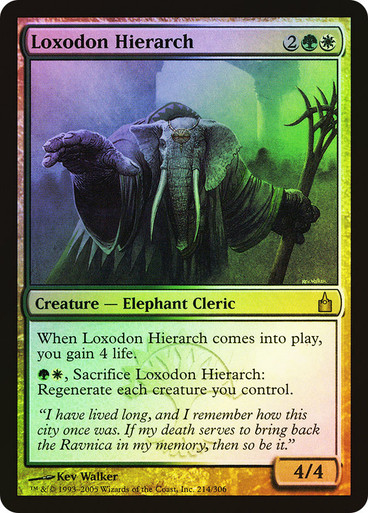 Loxodon Hierarch - Foil
