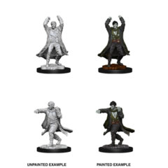 DUNGEONS AND DRAGONS: NOLZUR'S MARVELOUS UNPAINTED MINIATURES: W12 REVENANT