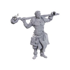 DUNGEONS AND DRAGONS NOLZUR'S MARVELOUS MINIATURES: W24 ARCHDRUID AND MARTIAL ARTS ADEPT