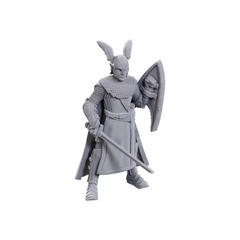 DUNGEONS AND DRAGONS NOLZUR'S MARVELOUS MINIATURES: 50TH ANNIVERSARY LIMITED EDITION: ELVES