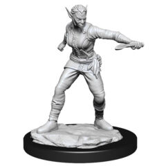 DUNGEONS AND DRAGONS NOLZUR'S MARVELOUS MINIATURES: W13 FEMALE SHIFTER ROGUE FEMALE