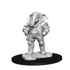 MAGIC THE GATHERING UNPAINTED MINIATURES: W03 QUINTORIUS, FIELD HISTORIAN
