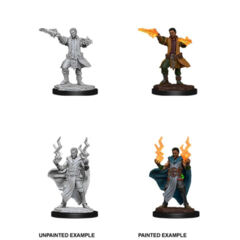 DUNGEONS AND DRAGONS: NOLZUR'S MARVELOUS UNPAINTED MINIATURES: W12 MALE HUMAN SORCERER