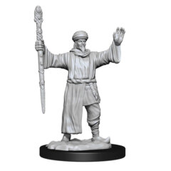 DUNGEONS AND DRAGONS NOLZUR'S MARVELOUS MINIATURES: W13 MALE HUMAN WIZARD