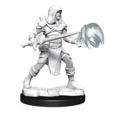 DUNGEONS AND DRAGONS NOLZUR'S MARVELOUS MINIATURES: W13 MALE MULTICLASS FIGHTER-WIZARD