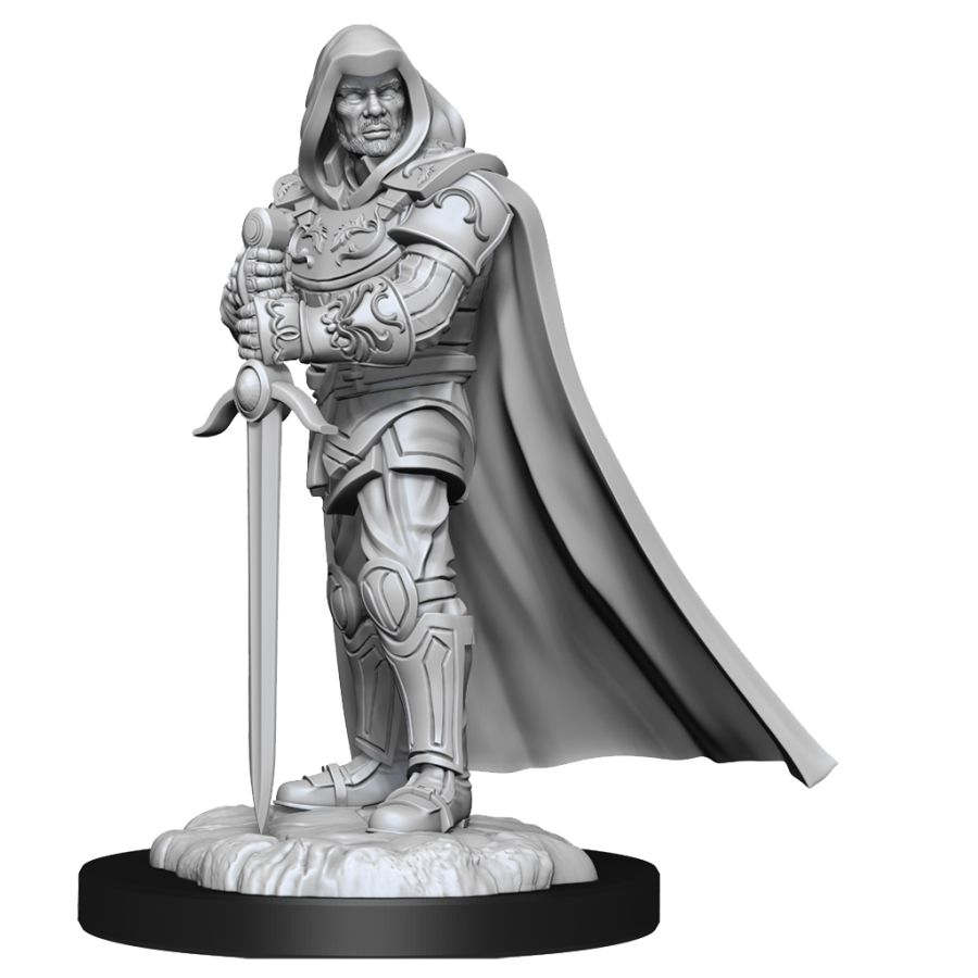 DUNGEONS AND DRAGONS NOLZURS MARVELOUS MINIATURES: W13 MALE HUMAN PALADIN