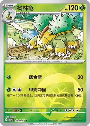 Grotle - 0801/07 - Common - Holofoil