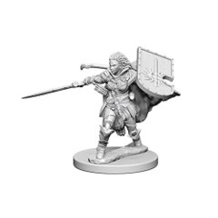 Pathfinder Battles Unpainted Minis - Human Female Paladin