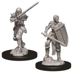 Nolzur's Marvelous Unpainted Miniatures - Human Fighter (Female)