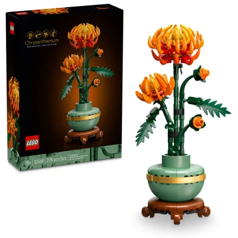 Chrysanthemum #10368