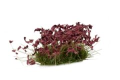 Dark Purple Flowers - Wild