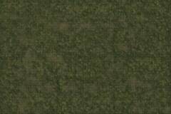 D&D ICONS REALMS GRASSLANDS BATTLE MAT