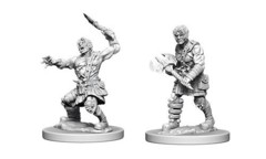 Nolzur's Marvelous Unpainted Miniatures - Nameless One