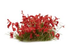 Red Flowers - Wild