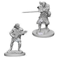 D&D: Nolzurs Marvelous Minis: Human Male Bard W4 (Unpainted)