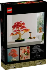 10348 Japanese Red Maple Bonsai Tree