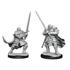 D&D Nolzur's Marvelous Miniatures: Half-Orc Paladin Male (Wave 15)