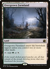 Overgrown Farmland (Printing May Vary)