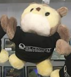 Owl Plush Hoots