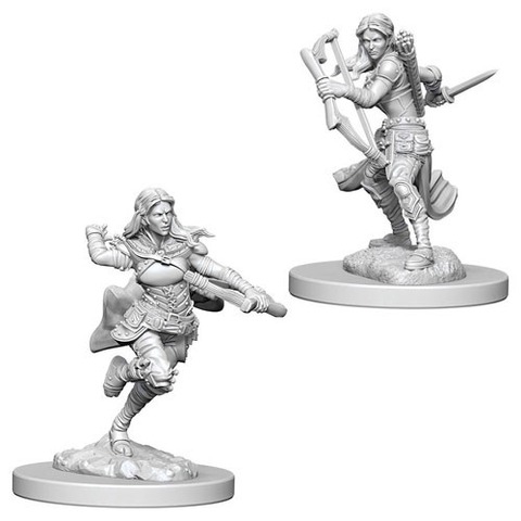 Air Genasi Rogue Female