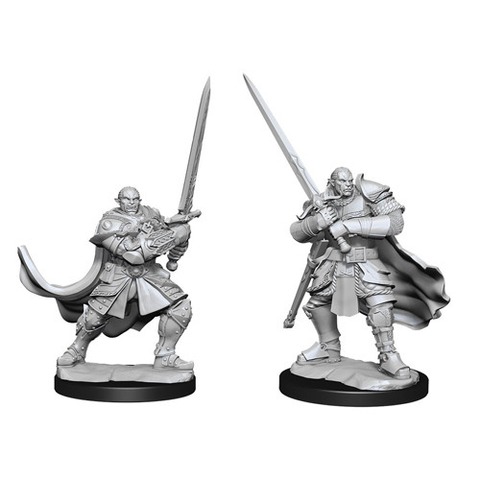 Half-Orc Paladin Male