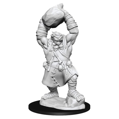 Pathfinder Ogre Miniature