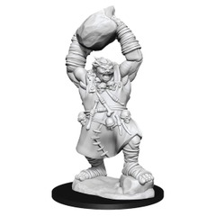 Pathfinder Ogre Miniature