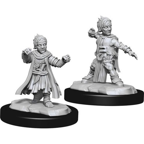 Halfling Monk Male