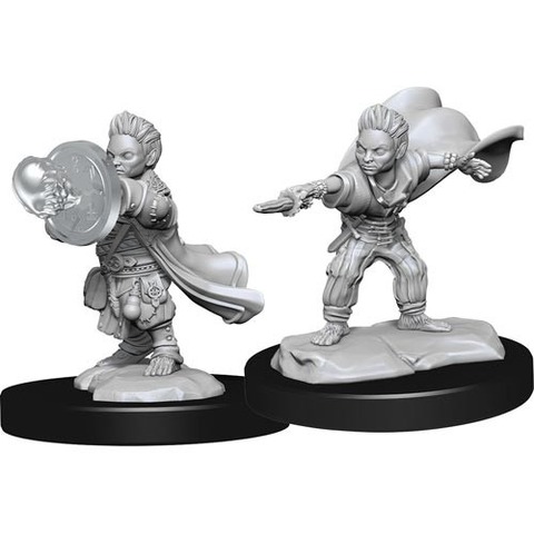 Halfling Wizard Male