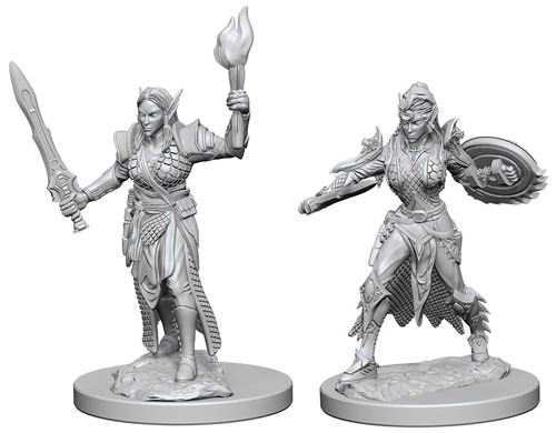 Elf Fighter Female