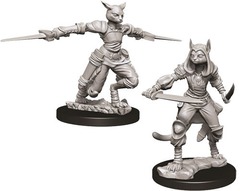 Tabaxi Rogue Female